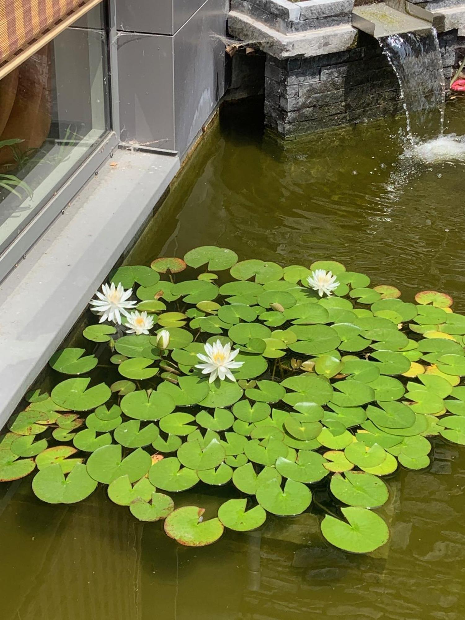 Maison D'Hotes "La Source Paisible プロフォンドヴィル エクステリア 写真